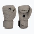 Рукавиці боксерські Hayabusa T3 LX slate