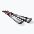 Лижі гірські дитячі Nordica Doberman Combi Pro S + Кріплення J7.0 FDT anthrazite/red 4