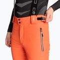 Штани гірськолижні чоловічі CMP 3W04467 fanta fluo 4