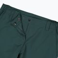 Штани трекінгові жіночі CMP 32T4146 Unlimitech Stretch trek green 4