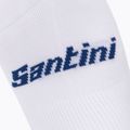 Велошкарпетки Santini Bengal кольорові 2S652HPBENGRYXS 3