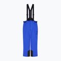 Штани лижні чоловічі EA7 Emporio Armani Pure Protectum 7 new royal 6