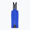 Штани лижні чоловічі EA7 Emporio Armani Pure Protectum 7 new royal 7