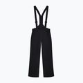 Штани лижні чоловічі EA7 Emporio Armani Pure Protectum 7 black 8
