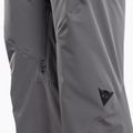 Штани лижні чоловічі Dainese Hp Ridge castle rock 3