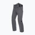 Штани лижні чоловічі Dainese Hp Ridge castle rock 4