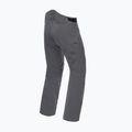Штани лижні чоловічі Dainese Hp Ridge castle rock 5