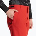 Штани лижні чоловічі Dainese Dermizax Ev high/risk/red 3