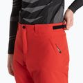 Штани лижні чоловічі Dainese Dermizax Ev high/risk/red 4