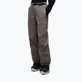 Штани лижні чоловічі Oakley Wintertide Softshell granite gray