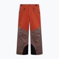 Штани лижні чоловічі Oakley Canopy Pro Insulated Dark Umber/Flame Red 6