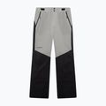 Штани лижні чоловічі Oakley Canopy Pro Insulated Pitch Black/Cement 6