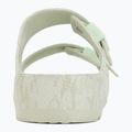 Шльопанці жіночі Scholl Primt Flora EVA 6