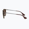 Окуляри сонцезахисні Ray-Ban Erika Classic matt havana/brown 7
