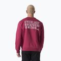 Кофта чоловіча Everlast Neutrals Crewneck bordeaux 3