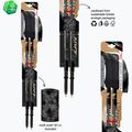Палиці трекінгові  Fizan Compact MS black 6