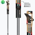 Палиці для скандинавської ходьби Fizan Carbon Pro Impulse grey 6