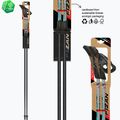 Палиці для скандинавської ходьби Fizan Tekno Impulse grey 6