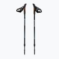 Палиці для скандинавської ходьби Fizan Speed black 5