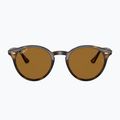 Окуляри сонцезахисні Ray-Ban RB2180 light havana/brown polarized 2