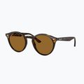 Окуляри сонцезахисні Ray-Ban RB2180 light havana/brown polarized 4