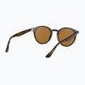 Окуляри сонцезахисні Ray-Ban RB2180 light havana/brown polarized 6