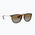 Окуляри сонцезахисні Ray-Ban Erika Classic light havana/brown polarized