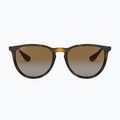 Окуляри сонцезахисні Ray-Ban Erika Classic light havana/brown polarized 2