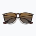 Окуляри сонцезахисні Ray-Ban Erika Classic light havana/brown polarized 3
