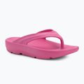 В'єтнамки жіночі Ellesse Aletha fuxia