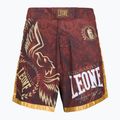 Шорти для ММА LEONE 1947 Legionarivs II bordeaux 5