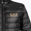 Чоловіча куртка з логотипом EA7 Emporio Armani Train Core ID Down Light чорного/золотого кольору 2