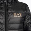 Чоловіча куртка з логотипом EA7 Emporio Armani Train Core ID Down Light Hoodie з капюшоном чорного/золотого кольору 3
