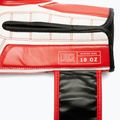 Рукавиці боксерські LEONE 1947 Iconic red 9