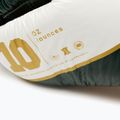 Боксерські рукавиці LEONE 1947 Shock X green 10