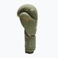 Боксерські рукавиці LEONE 1947 Idol green 5