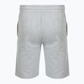 Шорти чоловічі Oakley Canyon View new granite heather 2