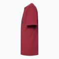 Футболка чоловіча Oakley Bark Ellipse Tee iron red 3