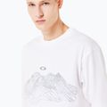 Футболка чоловіча Oakley Wired Mtn Scape Tee white 5