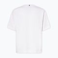 Футболка чоловіча Oakley Wired Mtn Scape Tee white 8