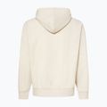 Кофта чоловіча Oakley MTL PO Hoodie mist 2