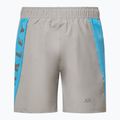 Шорти чоловічі Oakley Training Sidepanel cement 2