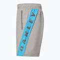 Шорти чоловічі Oakley Training Sidepanel cement 3
