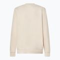 Кофта чоловіча Oakley New Ellipse Crew Sweatshirt mist 2