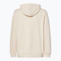 Кофта чоловіча Oakley New Ellipse Hoodie Sweatshirt mist 2