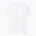 Футболка для плавання чоловіча Oakley Rashguard white 2