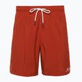 Шорти для плавання чоловічі Oakley Clear Lake 18" Volley flame red