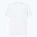 Футболка чоловіча Oakley Oakley Graphic Tee white 2