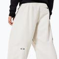 Чоловічі штани для сноуборду Oakley Channel Cargo mist 7