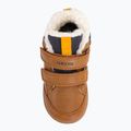 Черевики дитячі гeox Elthan tobacco/navy 6